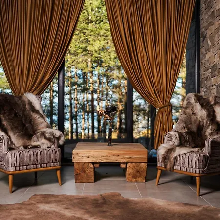 Brentas تسيغوف تشارك