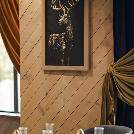 Brentas تسيغوف تشارك