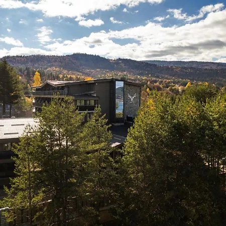 Brentas 4* Tsigov Chark