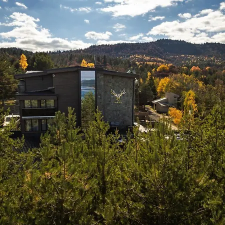 Brentas فندق تسيغوف تشارك