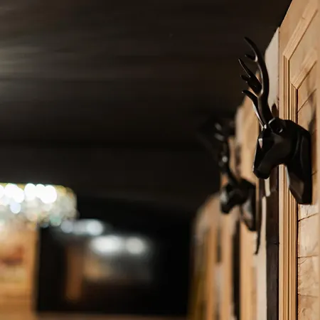 Brentas Hotel Tsigov Chark