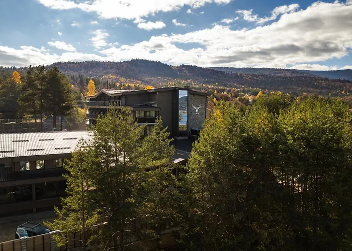 Brentas 4* Tsigov Chark